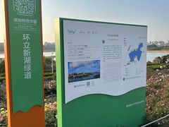 -立新湖公园