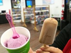 -Patagonia Chocolates(皇后镇店)