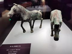 -邯郸市博物馆(新馆)