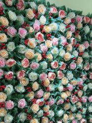 -变美丽半永久纹眉连锁·机器野生眉•洗眉