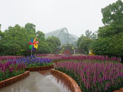 -南山植物园