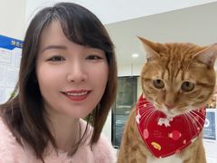 -凯瑞希宠物医院·狂犬免疫·微创·皮肤科