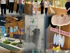 -帕帕拉兹宠物(亚洲旗舰店)