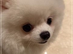 -美奈小馆·东南亚菜(福田星河COCO Park店)