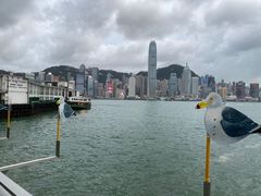 -海港城