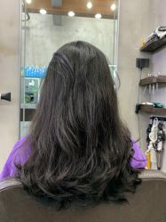 -环球蝶上美业连锁