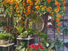 -循礼门鲜花花市(武汉循礼门店)