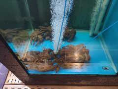 -鲜味食族水产·海鲜餐厅