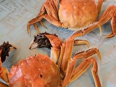 -鱼乐岛餐厅·户外花园主题餐厅