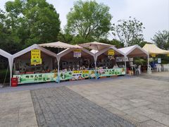 -苏州太湖国家湿地公园