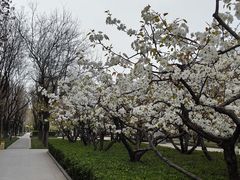 -木塔寺遗址生态公园