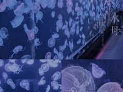 -大连老虎滩海洋公园