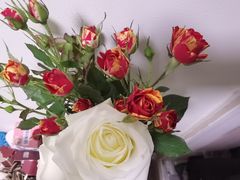 -芭菲盛宴·环球美食(解放碑英利国际店)