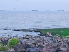 -上海吴淞炮台湾国家湿地公园