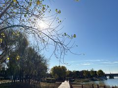 -绿堤公园