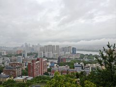 -福道