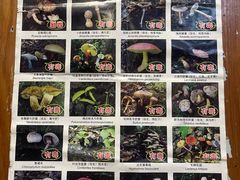 -滇藏石锅宴(北门坡古城管理局店)
