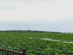 -天津东丽湖风景区