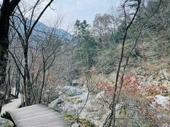 -安徽天堂寨风景区