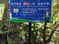 -呀诺达热带雨林