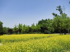 -北坞公园