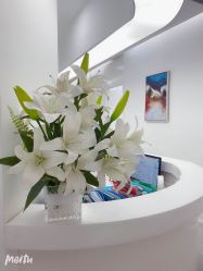 -SKINIST丽铂医疗美容