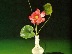 -荷兰布尔玛国际花艺学院