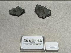 -辽宁古生物博物馆