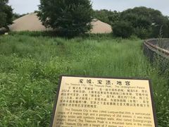 -北陵公园