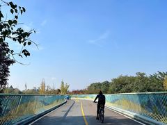 -白鹭湾湿地公园