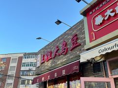 -洪湖里王姐大乌豆