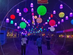 -祥源·阜阳生态乐园