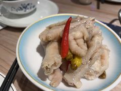 -探窝·竹笙椰子鸡(杨箕店)