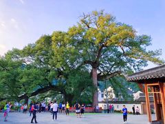 -新安江山水画廊风景区