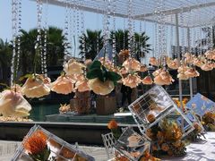 -鹭江潮餐厅•福建菜(鹭江佲家酒店)