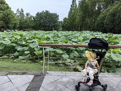 -同里国家湿地公园