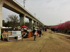 -秀丽东方