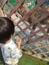 -萌宠亲子动物乐园(槐房万达店)