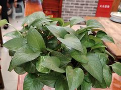 -陈家老院子·长春特色东北家宴(一匡街店)