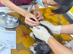 -美联众合动物医院·24h京西诊疗中心
