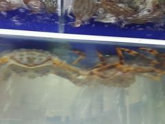 android_upload_pic-海鲜城大家餐厅