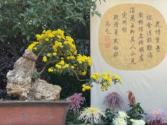 -杭州植物园