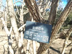 -北京植物园-展览温室