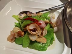 -觅唐MITONG(鸟巢店)