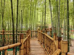 -陶祖圣境风景区