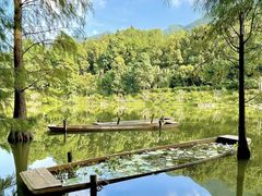 -深圳仙湖植物园