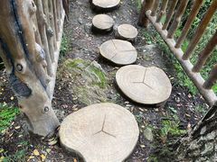 -塔云山