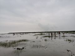 -奉贤海滩