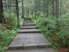 -汤旺河林海奇石景区