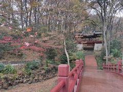 -紫霞湖公园